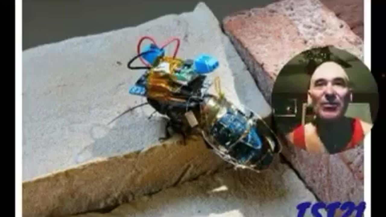 CHINA'S REMOTE-CONTROLLED CYBORG SPY BEES