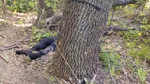Ukraine war combat footage 8/15/25