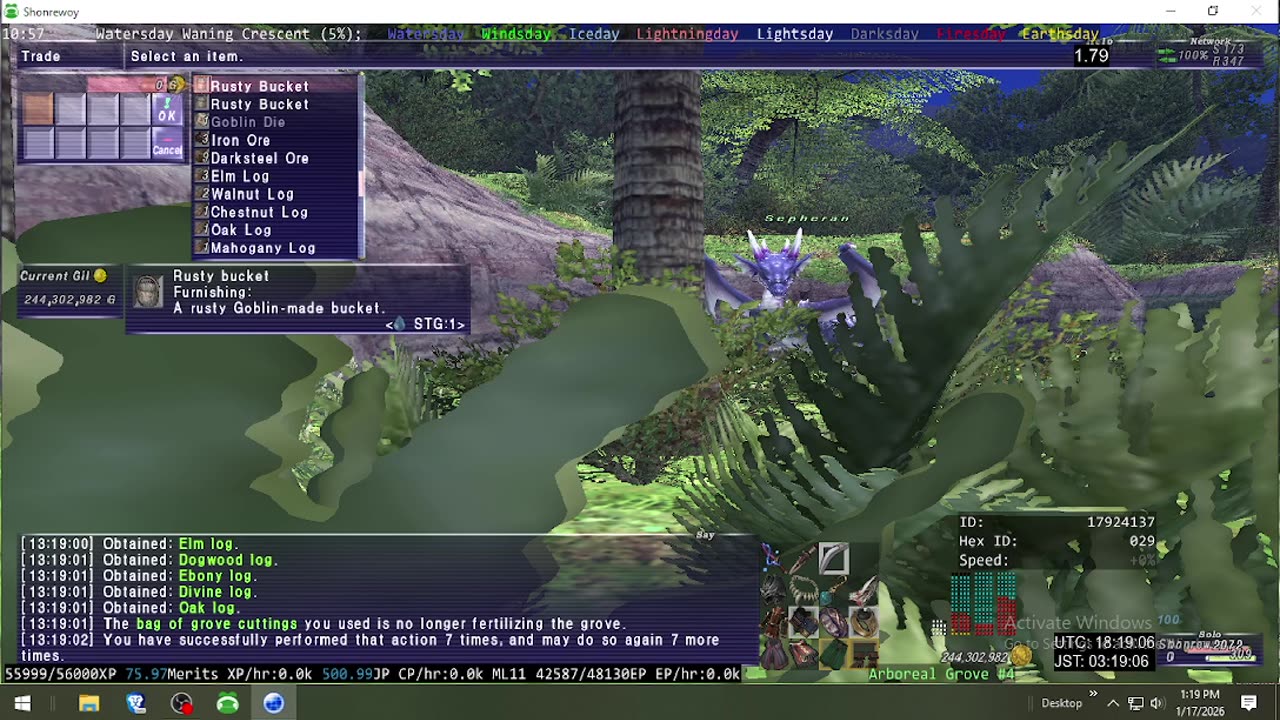 Playing Final Fantasy XI Online