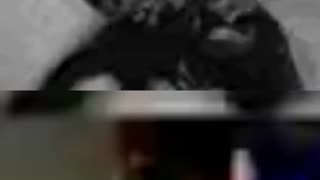 The Matchbox Scene: Why Doctor Who Fans Can't Get Enough! #doctorwho #classicwho