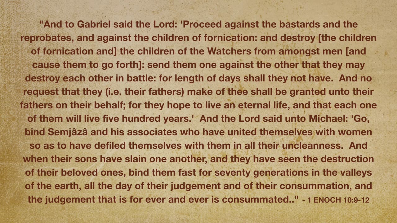 Torah Talk_S01E09 (Days of Noah) Part 3