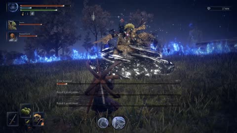 Elden Ring Nightreign Taking on Gladius
