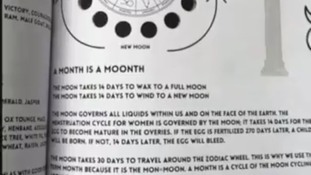 Revival of Wisdom | Book Of Wisdom (Part 9) (Dutch/NL Subs)