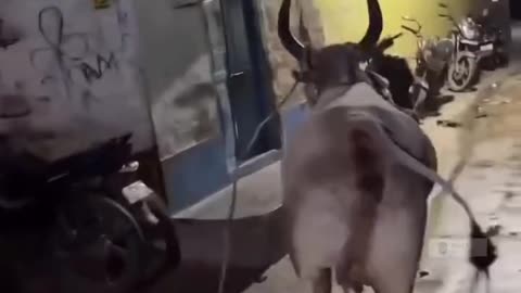 CameraMan Die😂