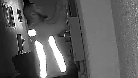 Creepy! Man Posing as Delivery Driver Peaks Into Apartment Window