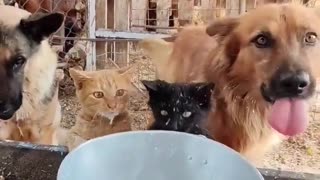 😂🥛 You Won't Believe This Hilarious Milk Party! | FunFM