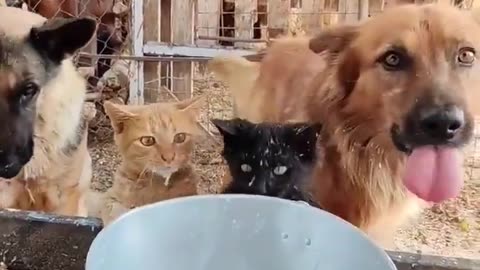 😂🥛 You Won't Believe This Hilarious Milk Party! | FunFM