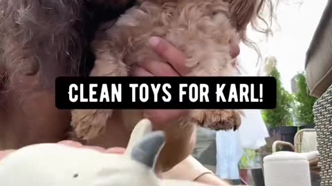 SUMMER CLEANING HACKS