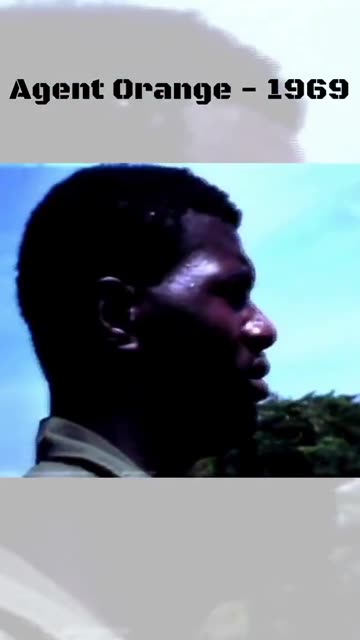 US Soldiers spray "Weed Killer" onto a riverbank without protective equipment.