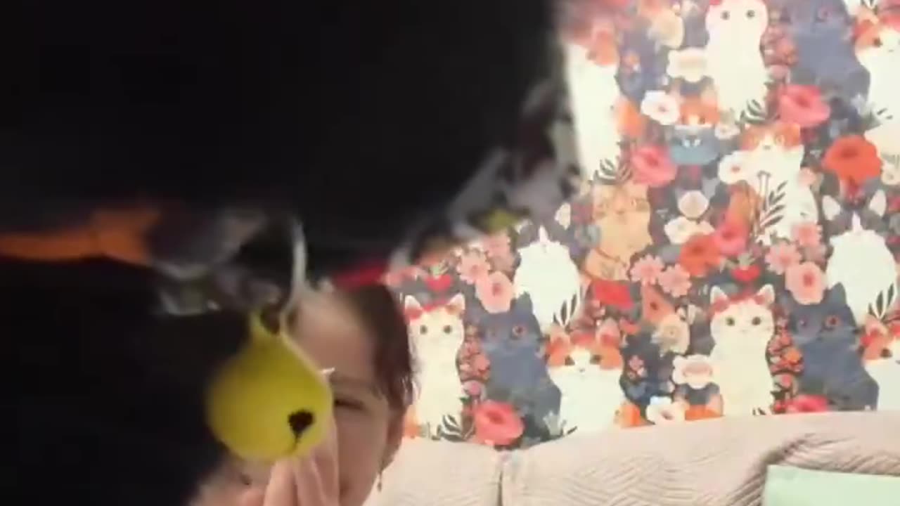 Bro seeing what’s up