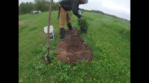 2nd Chance Tree Planting