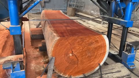 cutting huge logs worth thousands of dollars