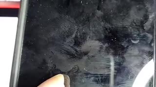 FACECROOK LIVE