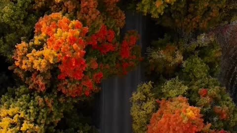 Canadian Rockies Nature 4K videos 🌎