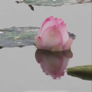 Buddha & Jesus: Awaken Your True Nature