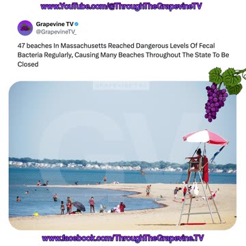 47 Massachusetts beaches hit dangerous fecal bacteria levels, causing widespread closures statewide