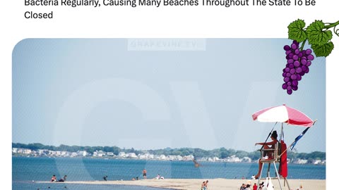 47 Massachusetts beaches hit dangerous fecal bacteria levels, causing widespread closures statewide