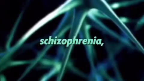 Alzheimer's is caused by cholesterol deficiency