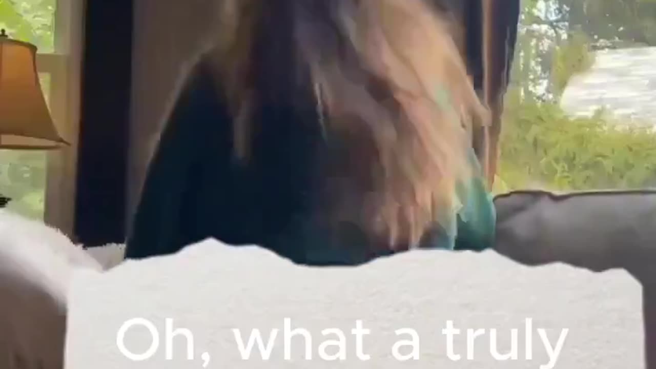 Victoria from How I Met Your Mother