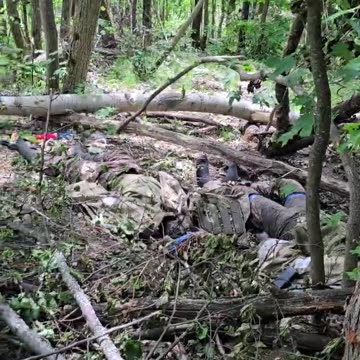 Ukraine war raw footage 5/31/25