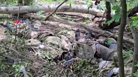 Ukraine war raw footage 5/31/25