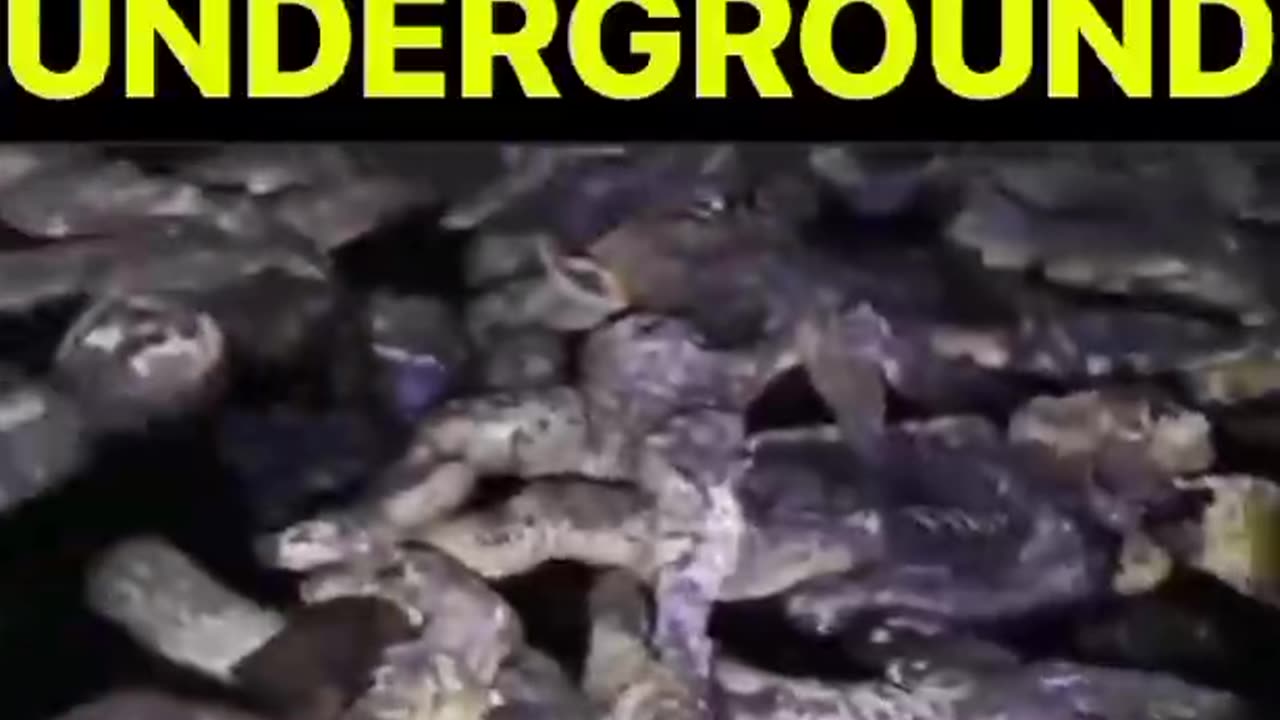 Dead children found in the underground