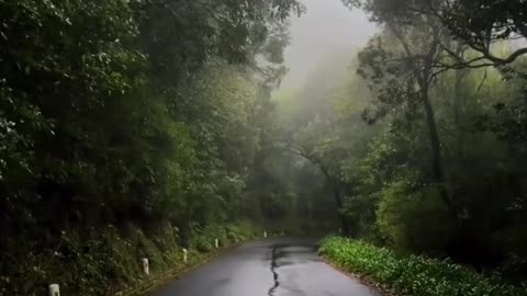 Peace vibes