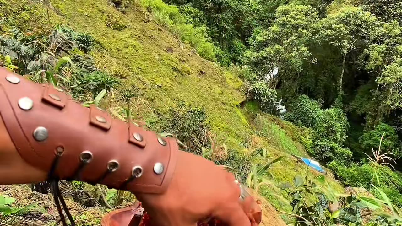 Cooking Beef Liver & Heart Skewers by a Serene Stream | Rustic Outdoor Feast in Nature’s Lap