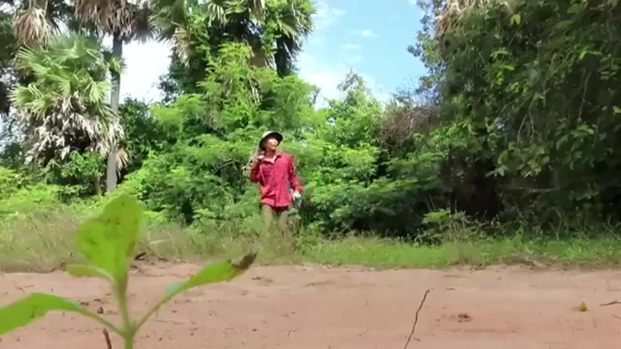 Monkey Trap Technology