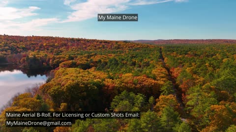 Maine B-Roll (No Sound): Fall Foliage at Lily Pond in New Gloucester, Maine Video 24