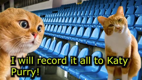 When a Cat wants to Go Out with a Friend but his Girlfriend Steals his Car (Ep.84)