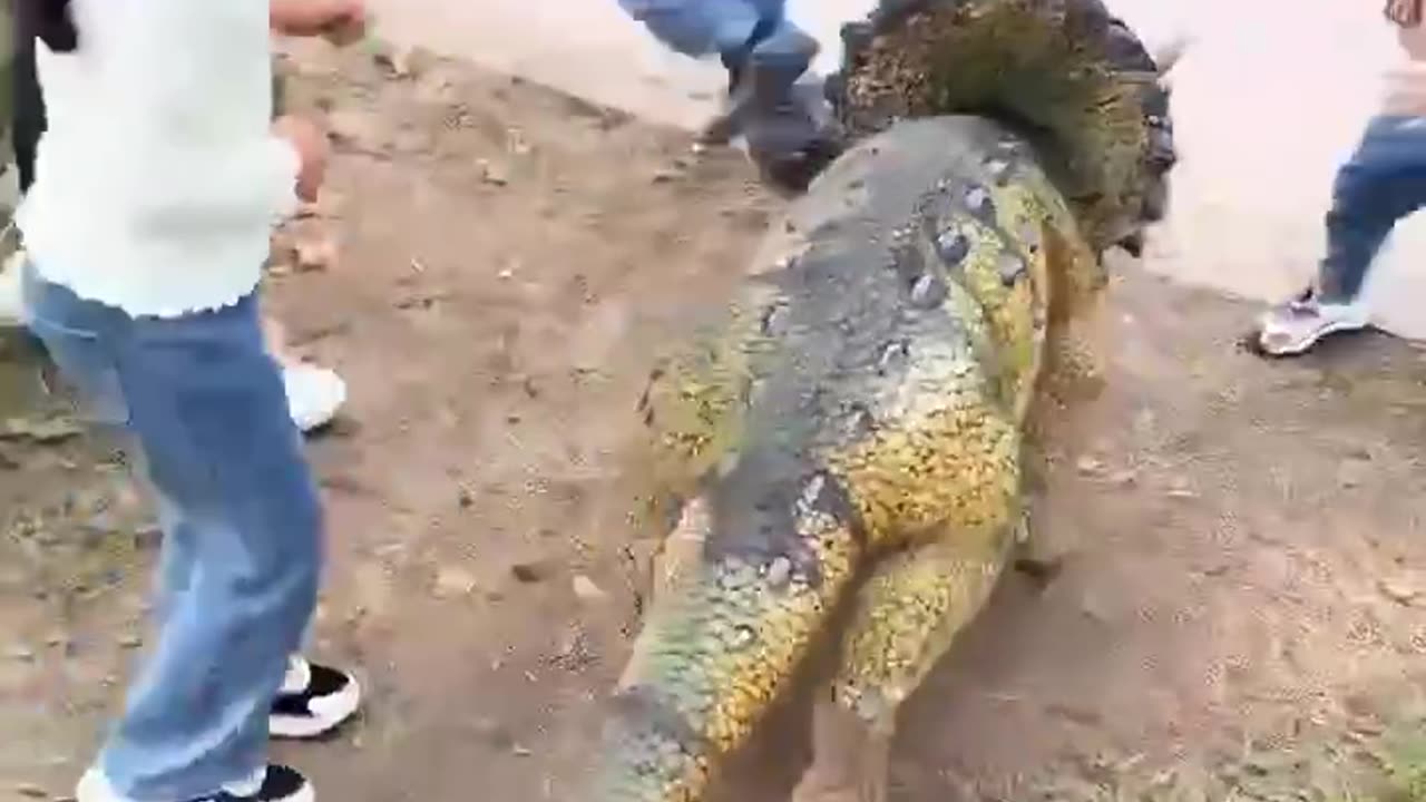 Jurassic park in China 😲😲😲