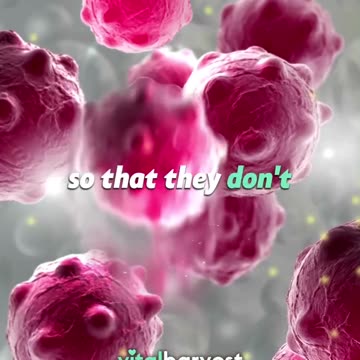 Cancer is not a disease