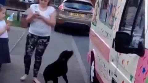 Everyone Loves the Ice Cream Man
