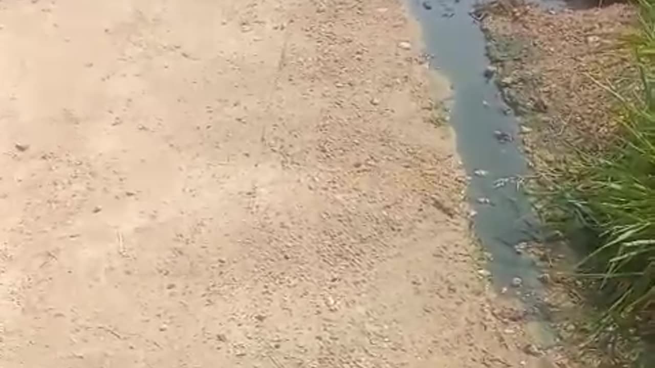 Vecinos denuncian malos olores y riesgos por alcantarillado en Olaya