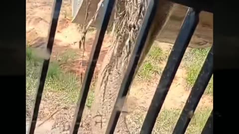 😨💥 Poltergeist Caught Throwing Objects in Room! | TheHauntingHour