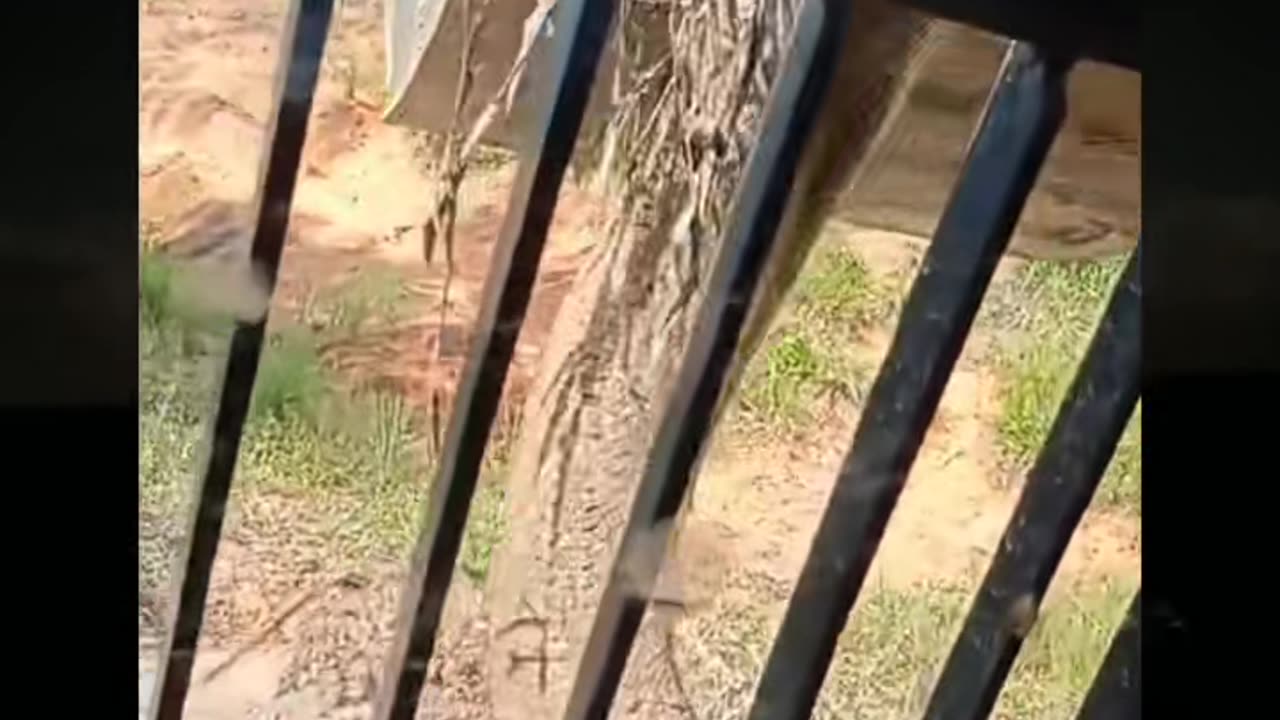 😨💥 Poltergeist Caught Throwing Objects in Room! | TheHauntingHour