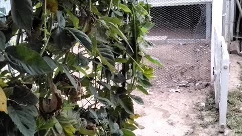 Garden Check In!