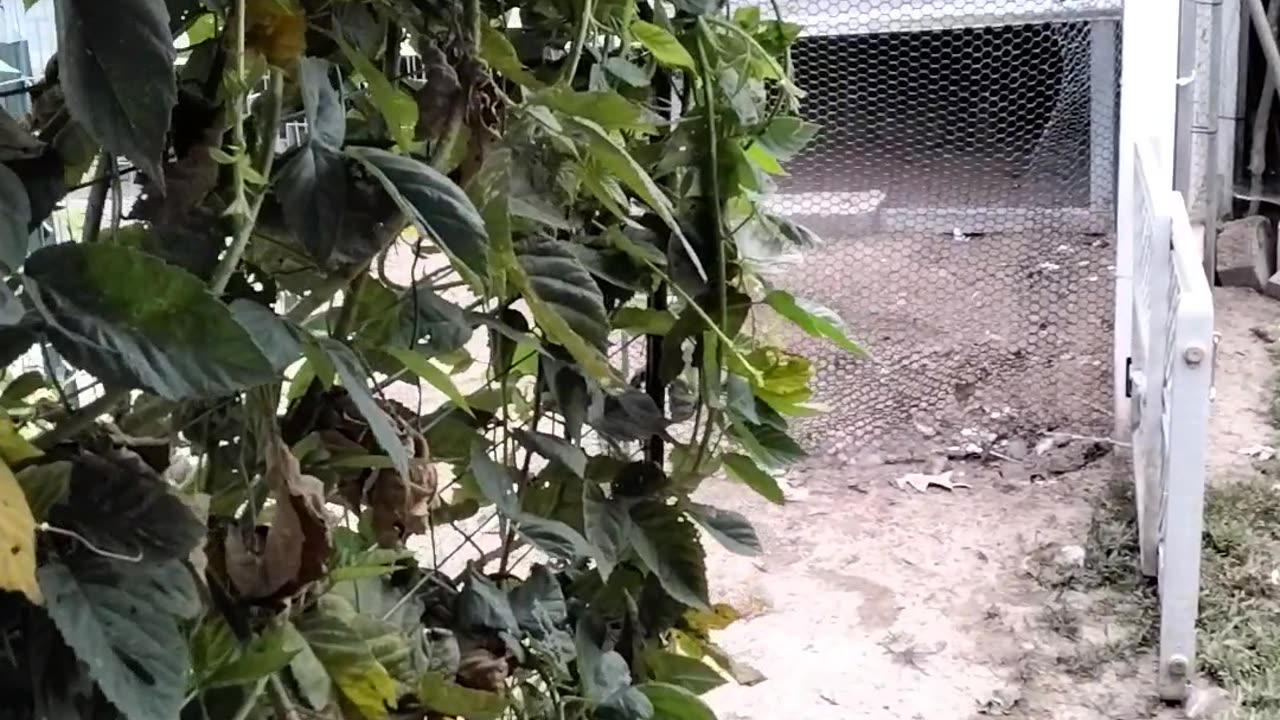 Garden Check In!