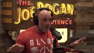 Joe Rogan: "The political system is not really the will of the people"
