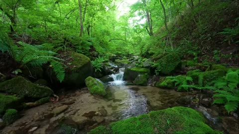 Calming Water Sounds with Birds 🌿 Stress Relief & Deep Sleep Ambience