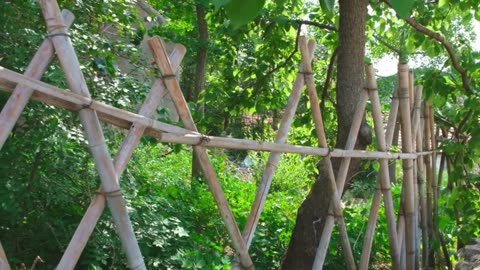 Budget Fence Designs for Your Backyard or Farm – 20+ Easy Builds
