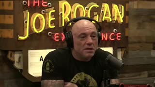 Wolf Sparks Dog Panic - Dave Landau and Joe Rogan