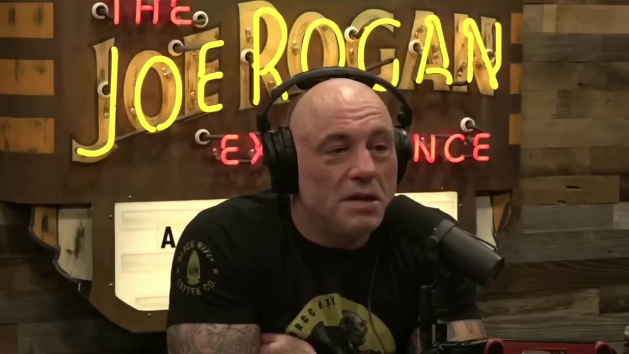 Wolf Sparks Dog Panic - Dave Landau and Joe Rogan