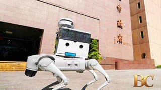Taipei City council in the dog house over Chinese-made patrol robot