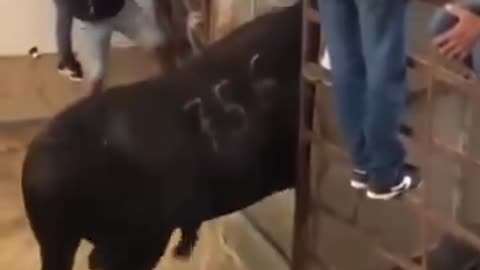 Funny video 😂😂