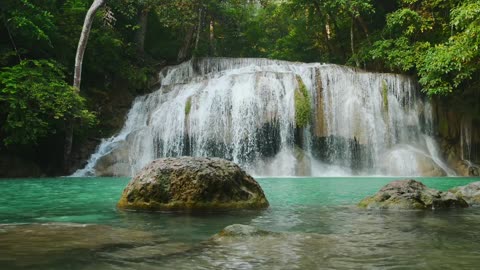 Embraced by Nature | Tranquility in Waterfall and Birdsong