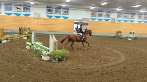 Keegan at the Harvest Horse Show 2022