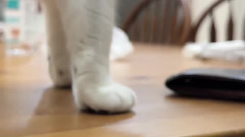 Touch whats up