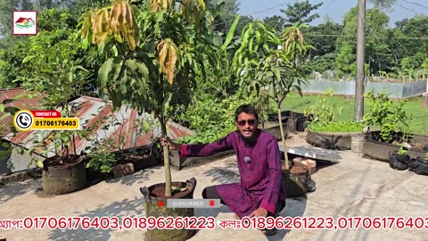 জিও ব্যাগে ছাওলা (শেওলা) পড়লে কী করবেন? 🌿 | Geo Bag Maintenance Tips | Siraj Tech